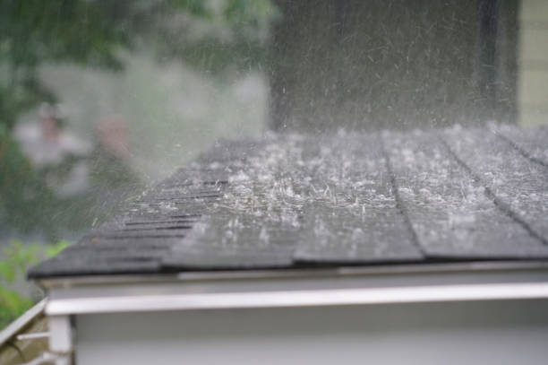 Best Storm Damage Roof Repair  in New Baltimore, MI
