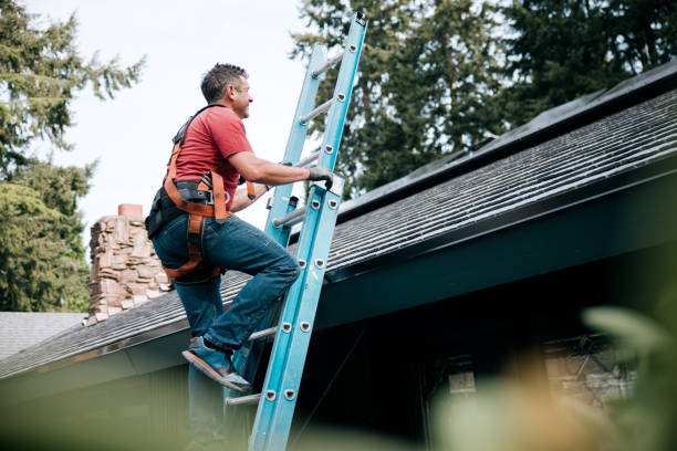 Best Rubber Roofing (EPDM, TPO)  in New Baltimore, MI
